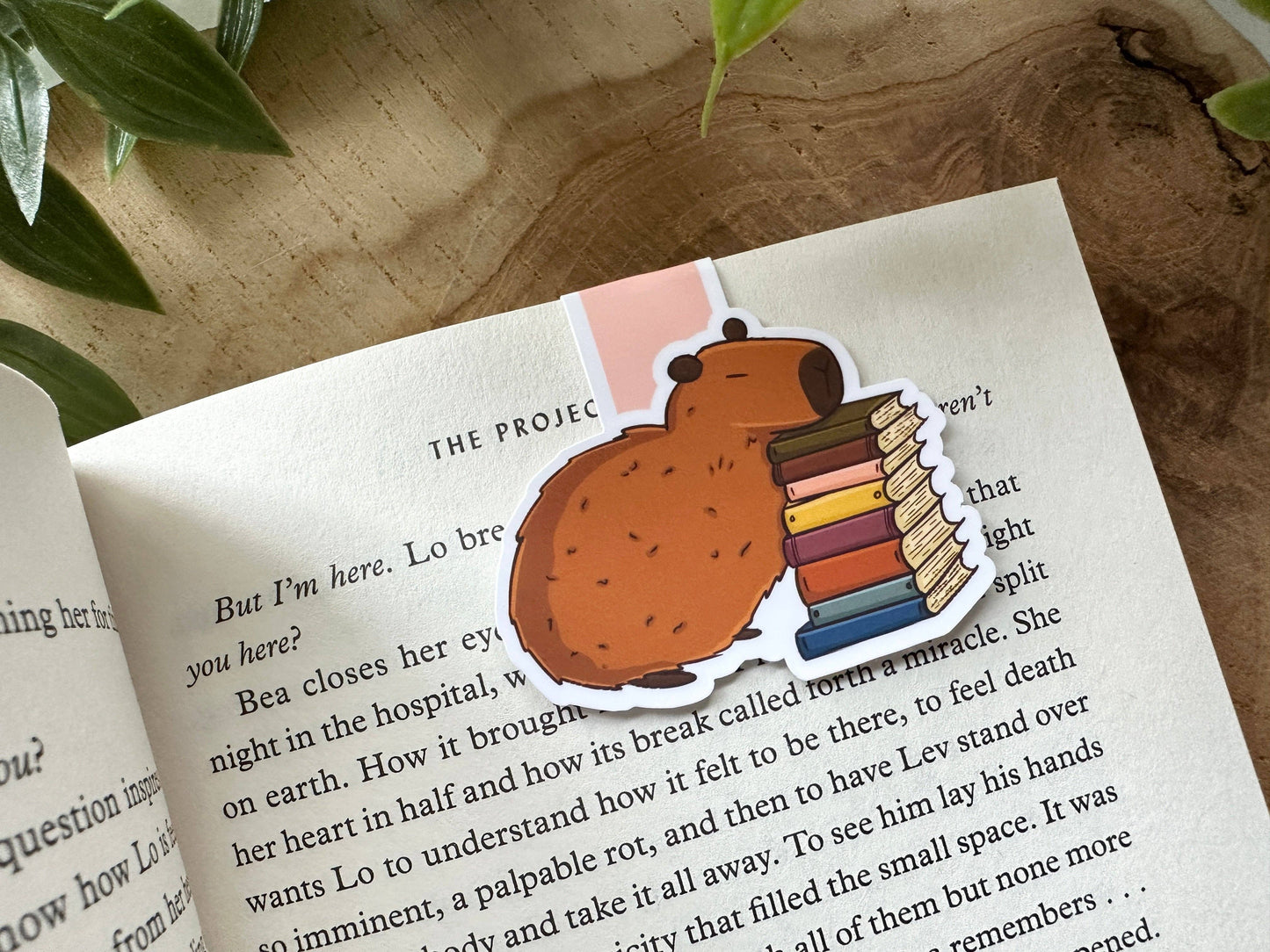 Capybara -magneettinen kirjanmerkki | Magic&Books