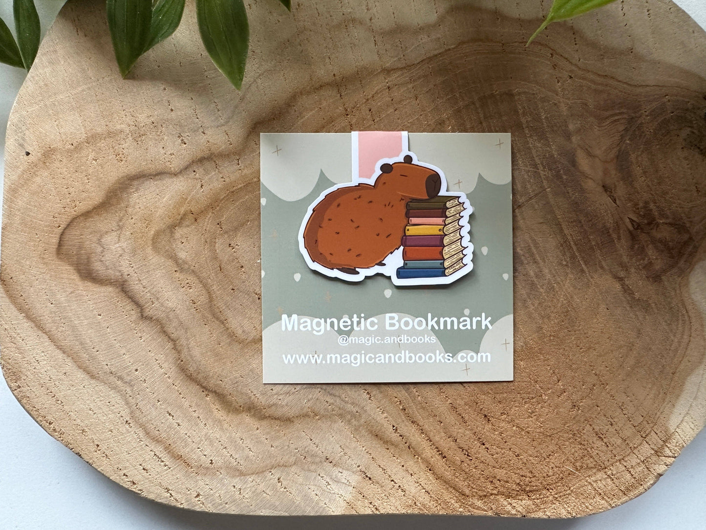Capybara -magneettinen kirjanmerkki | Magic&Books