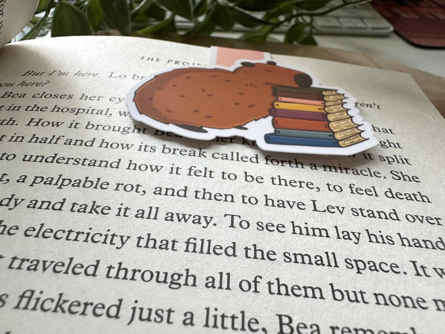 Capybara -magneettinen kirjanmerkki | Magic&Books