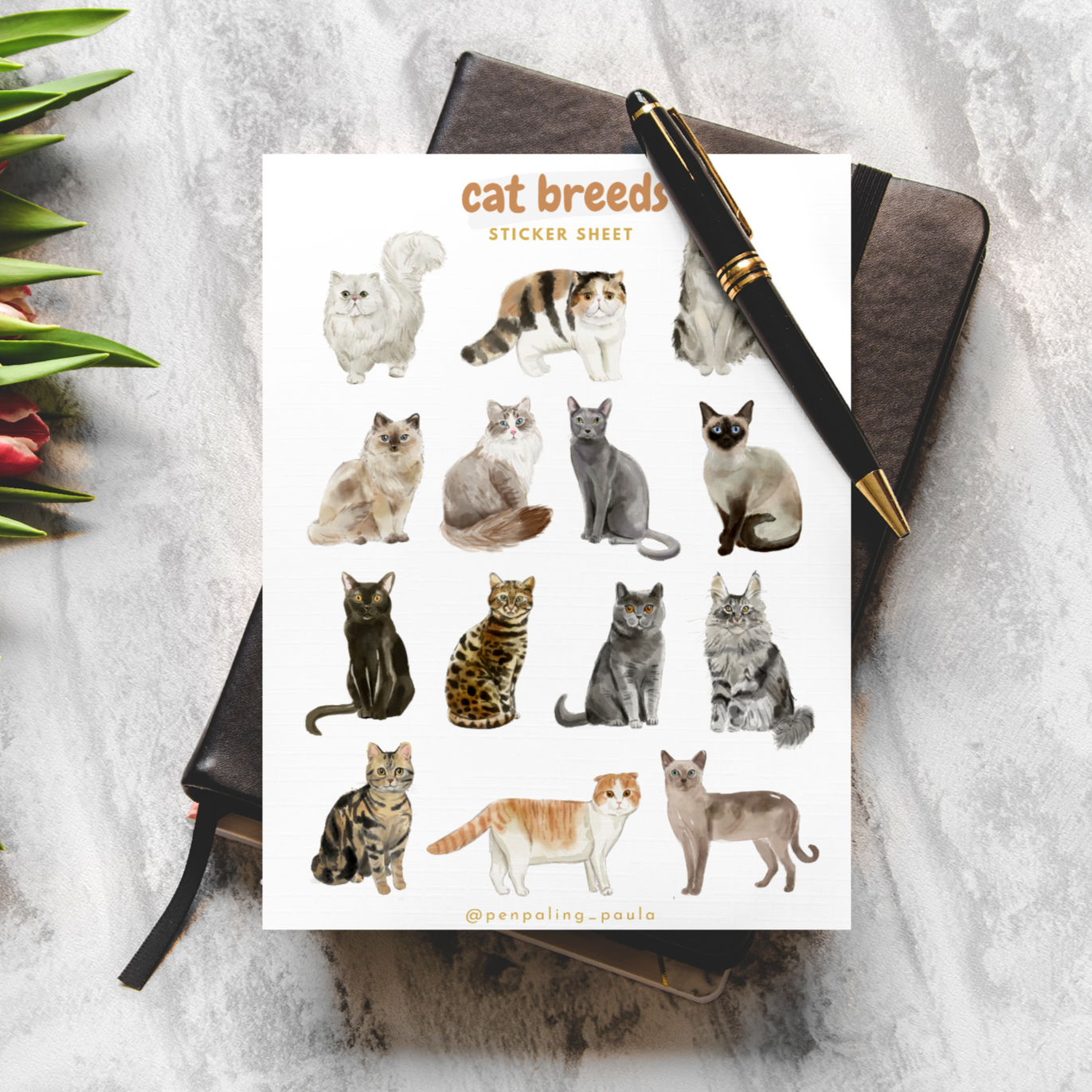 Cat breeds -tarra-arkki | Penpaling Paula