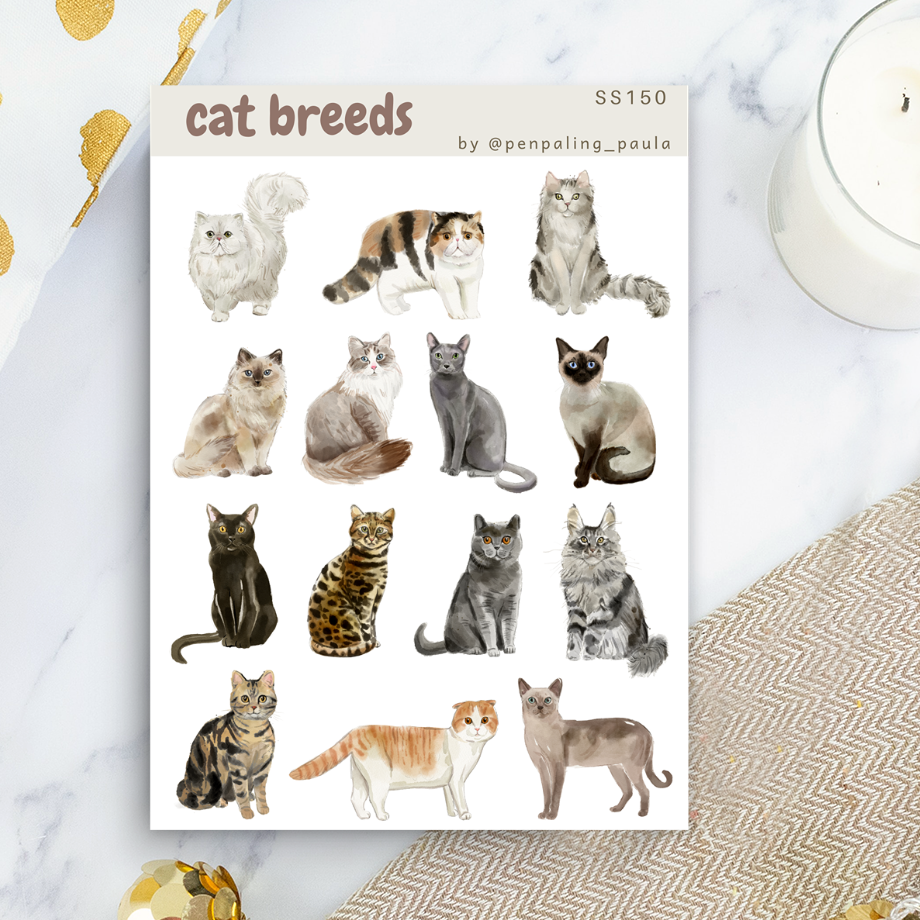 Cat breeds -tarra-arkki | Penpaling Paula